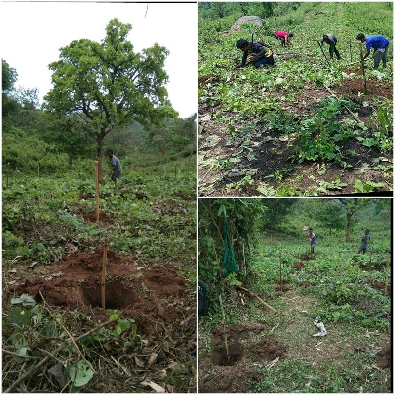 Meghalaya One Citizen One Tree Campaign