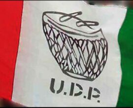UDP constitutes SEC, to soon announce MP, MDC candidates