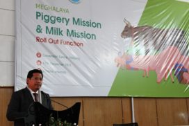 Financial support given under Meghalaya Piggery Mission and Milk Mission