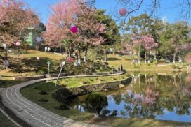 Shillong Cherry Blossom Festival 2021 wins awards in Three Heavy Categories at WOW Awards Asia 2022