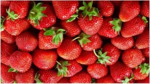 Integrating tourism with strawberry cultivation, festival aims to boost livelihoods and enterprises in Meghalaya