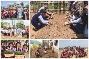 School Nutrition Gardens in Schools go up from 9% to 40% in one day