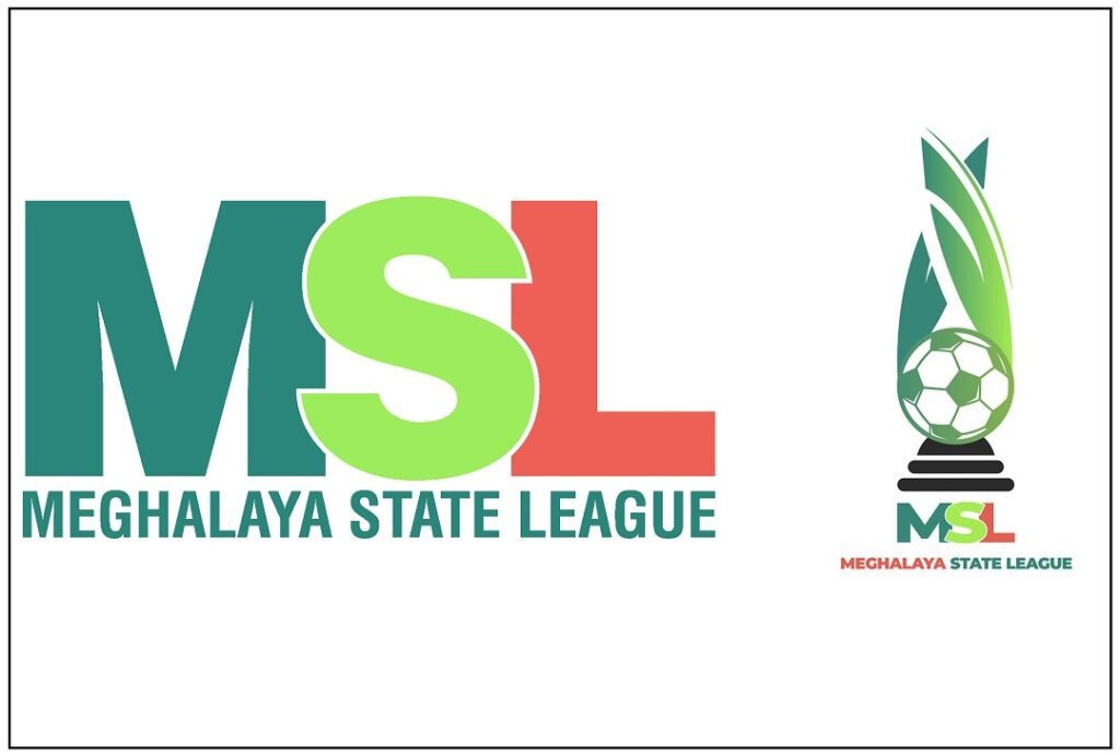 MSL logo 21