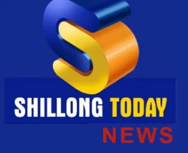 DM imposes ban to clear highway shoulders in East Khasi Hills