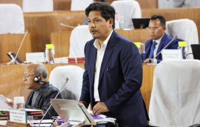 Meghalaya Assembly passes investment promotion bill with key amendments