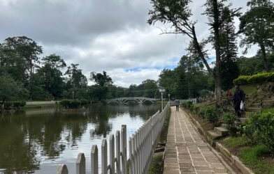 Meghalaya Transfers 273 Acres of Urban Land to Tourism Department to Boost Infrastructure