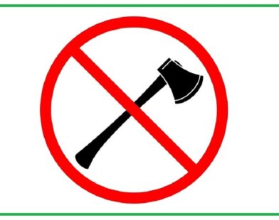 Drug Menace: Meghalaya to Strengthen Law, Empower Traditional Institutions