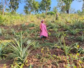 ICICI Foundation Extends Support to Over 310 Farmers in Meghalaya