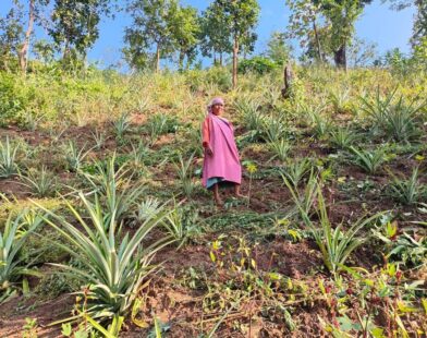 ICICI Foundation Extends Support to Over 310 Farmers in Meghalaya