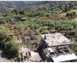 10 Tonnes of Illegally Cultivated Cannabis Destroyed in Major Anti-Narcotics Operation at Laitlulong, Sohiong