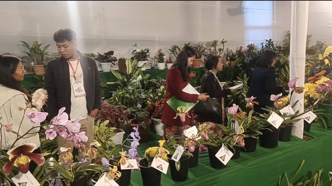 Department of Horticulture to Host Autumn Flower Show at U Soso Tham Auditorium