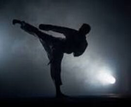 31st State Karate Championship 2025 to begin on October 23