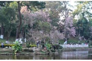 Festival in Shillong Meghalaya