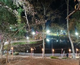 Shillong Literary Festival 2025: A Global Stage for Local and International Voices