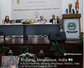 Synod College Hosts Conference on Indigenous Knowledge Systems