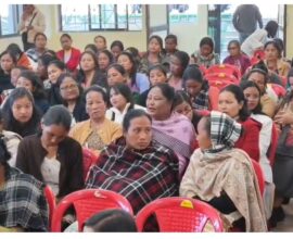 Seven months, no wages. Asha workers give govt deadline: Dec 19.