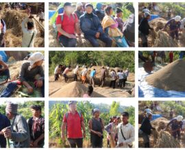 Syiem of Hima Khyrrim, Prof. Desmond Kharmawphlang Attend Shoh Kba Harvest Ritual in Ri-Bhoi