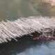 Villagers Race Against Time to Complete Bridge Ahead of Shyntor Bulia Festival