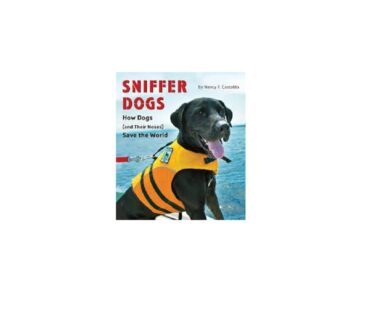 Rs 12.54 lakh sniffer dogs to aid Meghalaya Police in narcotics crackdown