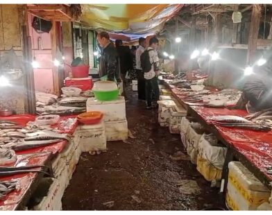 KJIFA Says No Official Order Received on Ban of Fish Imports from Bangladesh