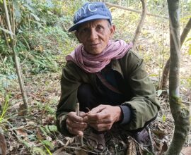 Khasi Traditional Healer Uses Indigenous Remedy for Dog Bite Cases in Siatbakon
