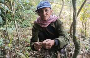 Khasi Traditional Healer Uses Indigenous Remedy for Dog Bite Cases in Siatbakon