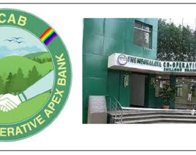 MCAB Wins NAFSCOB Third Prize for FY 2024–25 Performance