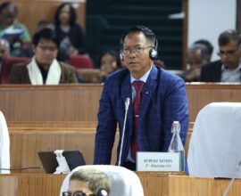 Wildlife Extinction Concerns Raised in Assembly; Pangolin Population Under Threat