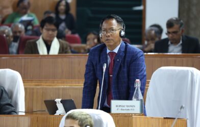 Wildlife Extinction Concerns Raised in Assembly; Pangolin Population Under Threat