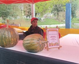 Monthly Farmers’ Market brings fresh produce to Shillong residents