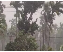 Storms hit 745 villages in Meghalaya, one fatality reported