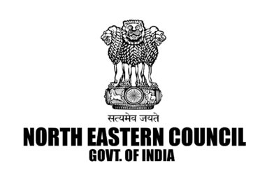 Landmark year for NEC: Rs 1,496.78 Cr spent, pending UCs down 97%