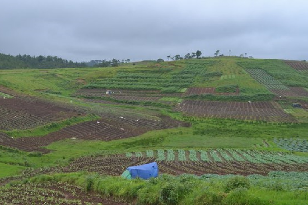 Organic Inputs Key to Improving Nutrient Efficiency in Smart Farming: Expert