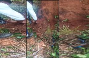 Schoolboy Rescues Newborn Allegedly Buried Alive in Ri-Bhoi, Probe Underway