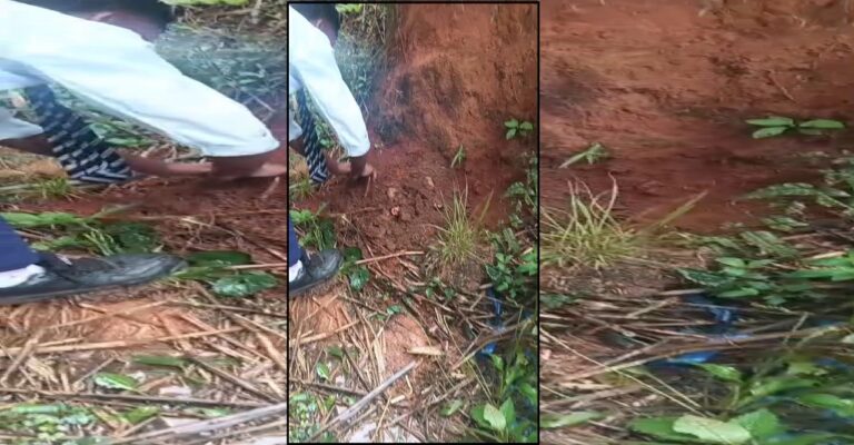 Schoolboy Rescues Newborn Allegedly Buried Alive in Ri-Bhoi, Probe Underway