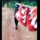 Villagers Carry Sick Man on Makeshift Stretcher as Lack of Road Leaves Nongkynrih Isolated