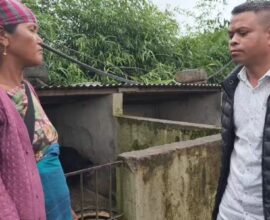 HFU Demands Pig Testing Facility at Jorabat Amid African Swine Fever Outbreak