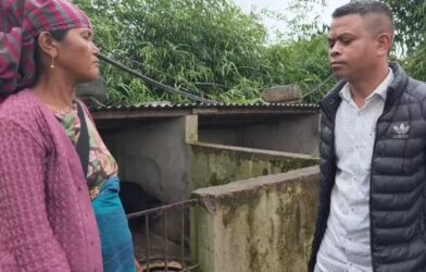 HFU Demands Pig Testing Facility at Jorabat Amid African Swine Fever Outbreak