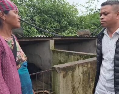 HFU Demands Pig Testing Facility at Jorabat Amid African Swine Fever Outbreak