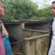 HFU Demands Pig Testing Facility at Jorabat Amid African Swine Fever Outbreak