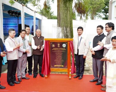 Foundation laid for modern state veterinary hospital at Upper Shillong
