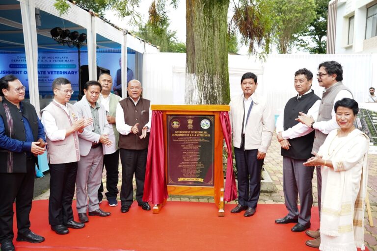 Foundation laid for modern state veterinary hospital at Upper Shillong