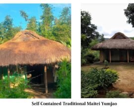 Natural Farming: Rediscovering Traditional Wisdom for Sustainable Agriculture in Northeast India