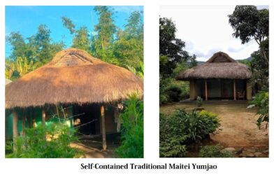 Natural Farming: Rediscovering Traditional Wisdom for Sustainable Agriculture in Northeast India