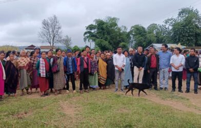 Pig Disease Outbreak Continues in SWKHD; HFU Surveys Affected Villages
