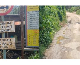 Newly Constructed PMGSY Road Develops Extensive Damage Within Months