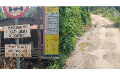 Newly Constructed PMGSY Road Develops Extensive Damage Within Months