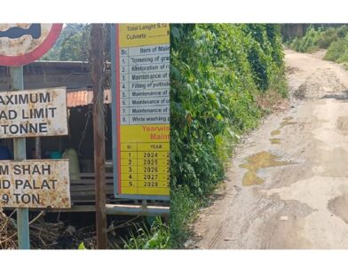 Newly Constructed PMGSY Road Develops Extensive Damage Within Months