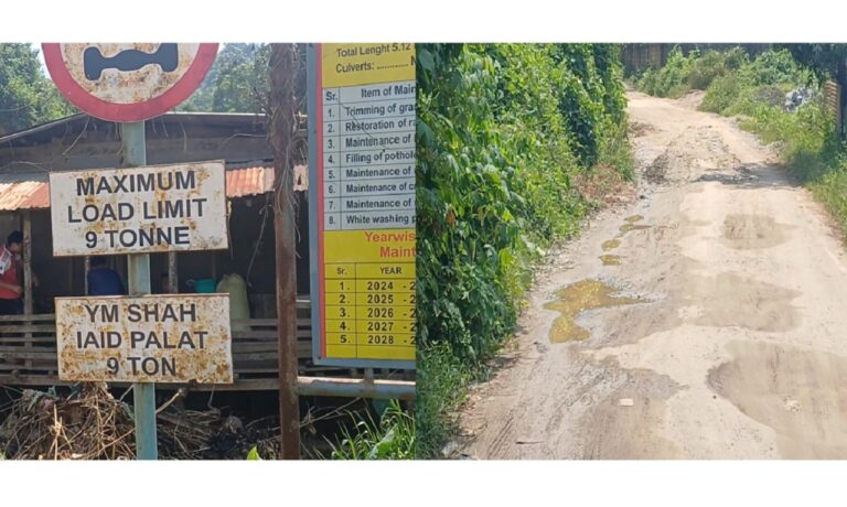 Newly Constructed PMGSY Road Develops Extensive Damage Within Months