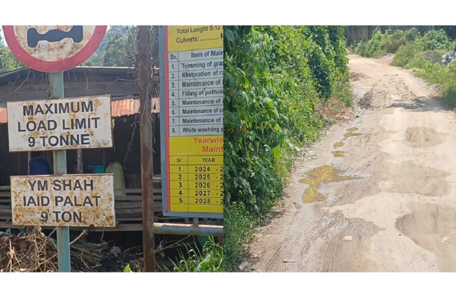 Newly Constructed PMGSY Road Develops Extensive Damage Within Months
